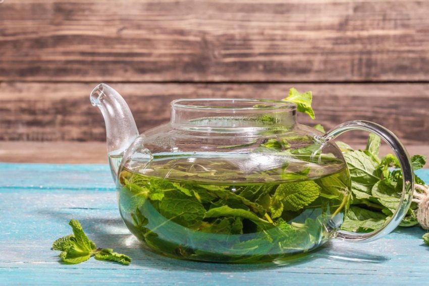 Glass teapot filled with fresh green tea leaves steeping in hot water on a wooden table